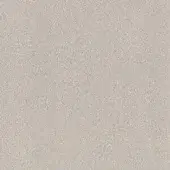60 Champagne Opaco - Matt Champagne